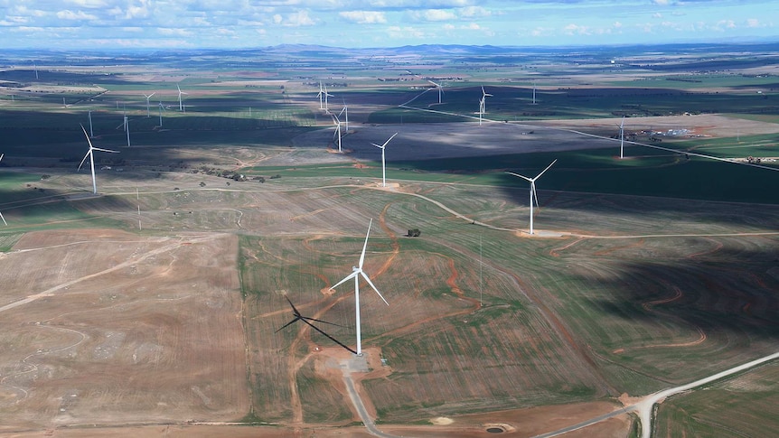 An aerial shot of a boundless plain dotted with huge wind turbines.