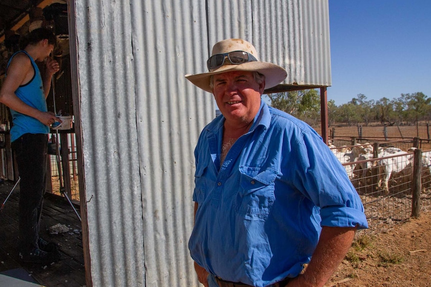 A man in a wide-brimmed hat and work shirt stands outside a corrugated iron shearing shed, with sheep in a paddock behind him.