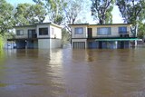 Two river shacks with two to three metres of water flooding along the Murray.