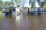 Two river shacks with two to three metres of water flooding along the Murray.