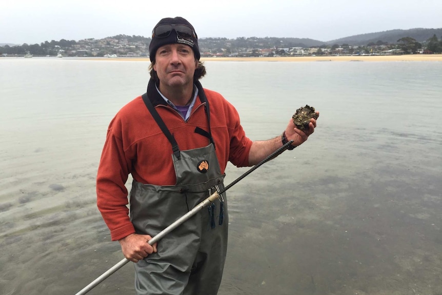 Brett Weingarth holds a pacific oyster