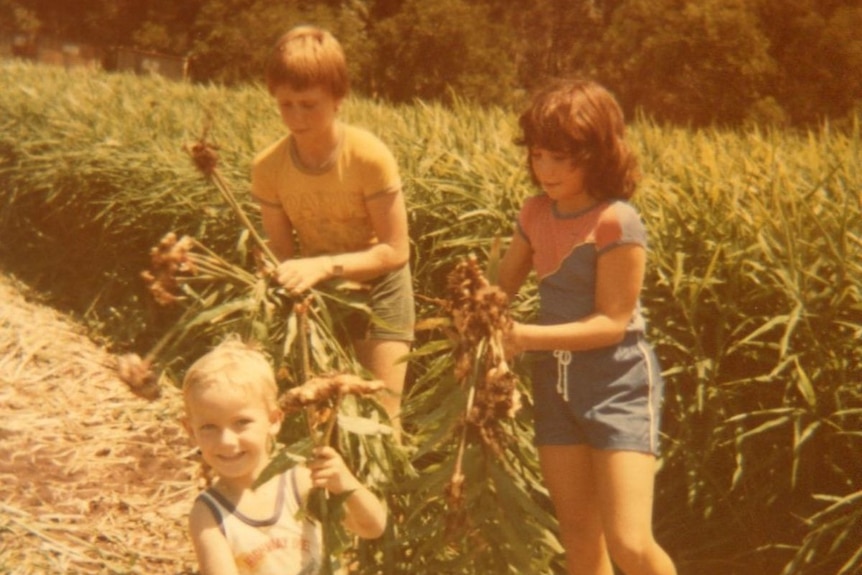 Three children pull up ginger from a field, the youngest grinning at the camera.