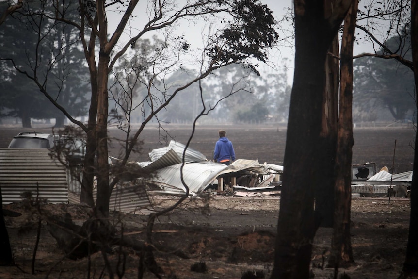 A lonely figure in a paddock stares out at the damage caused by a bushfire
