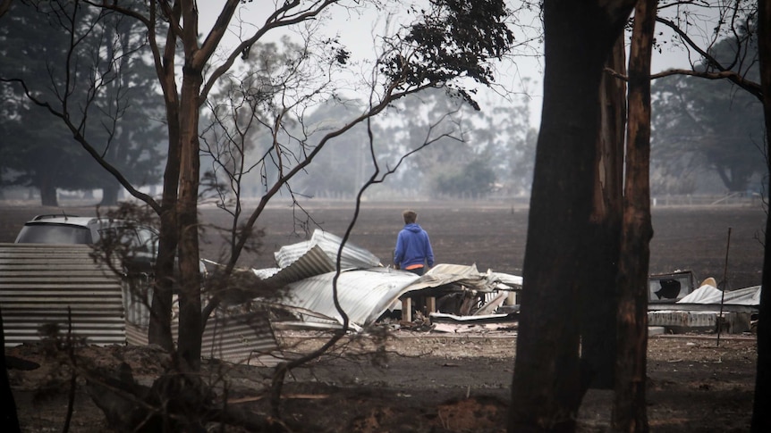 A lonely figure in a paddock stares out at the damage caused by a bushfire
