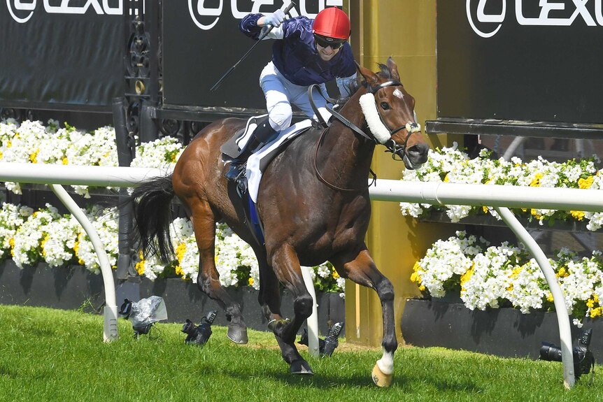 A jockey raises the whip in triumph as he rides his horse past the post to win the Melbourne Cup.