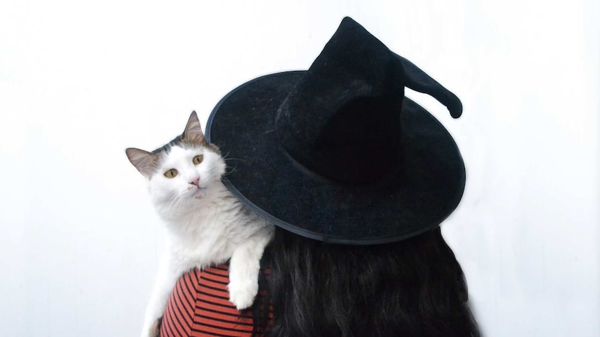 A woman in a black witch's hat holding a white cat