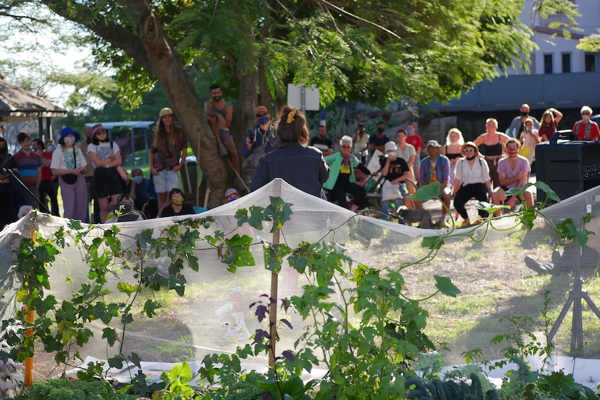 A group of people stand around a community garden listening to someone make a speech.