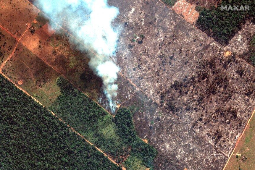 Satellite image shows a fire and cleared land next to rain forest.