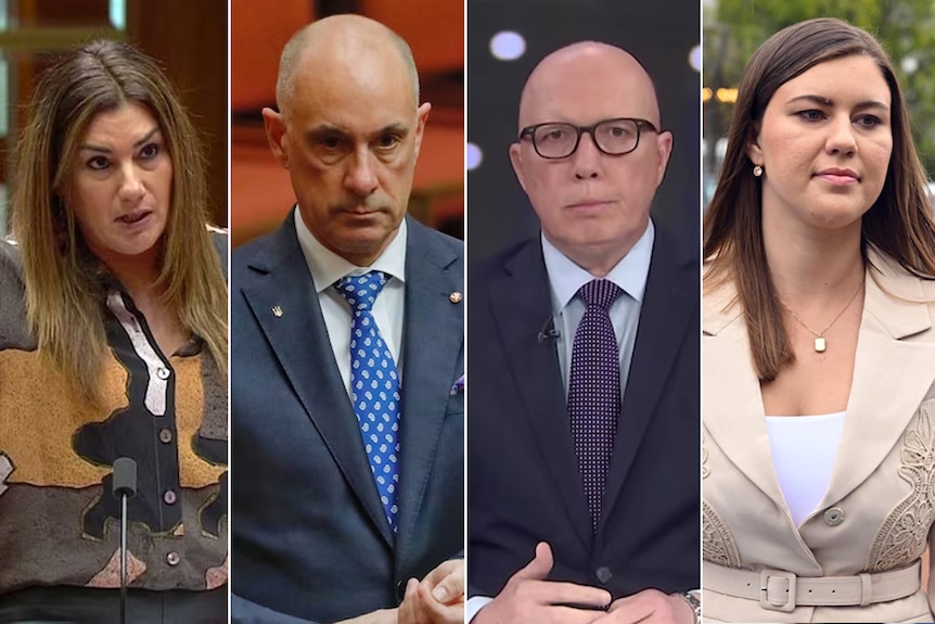 Side by side photos of politicians Lidia Thorpe, David Van, Peter Dutton and Brittany Higgins, all looking serious