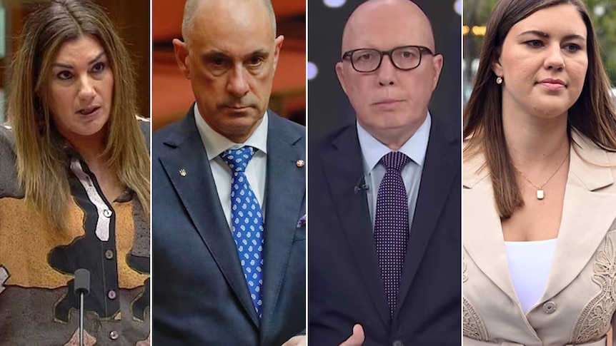 Side by side photos of politicians Lidia Thorpe, David Van, Peter Dutton and Brittany Higgins, all looking serious