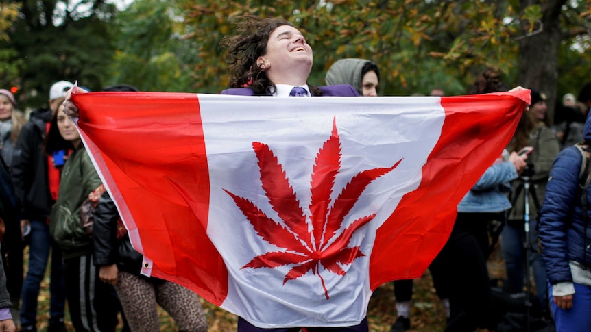 Man dances with Canadian flag emblazoned with marijuana leaf