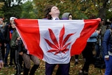 Man dances with Canadian flag emblazoned with marijuana leaf