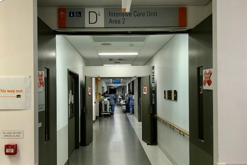ICU nurses gather in a hallway.
