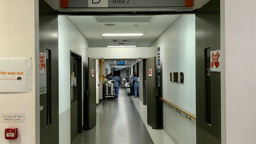 ICU nurses gather in a hallway.