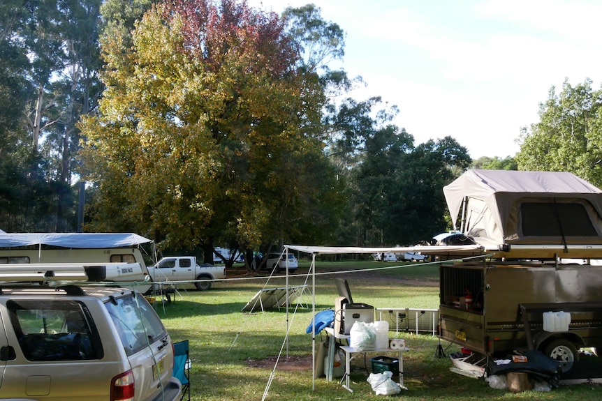 Camper trailer stands in a green, grassy campsite with a huge autumn tree and other cars and caravans nearby