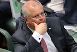 Scott Morrison has his hand on his chin and scowls