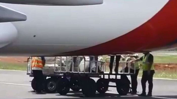 petugas mengeluarkan muatan buah durian dari kargo pesawat