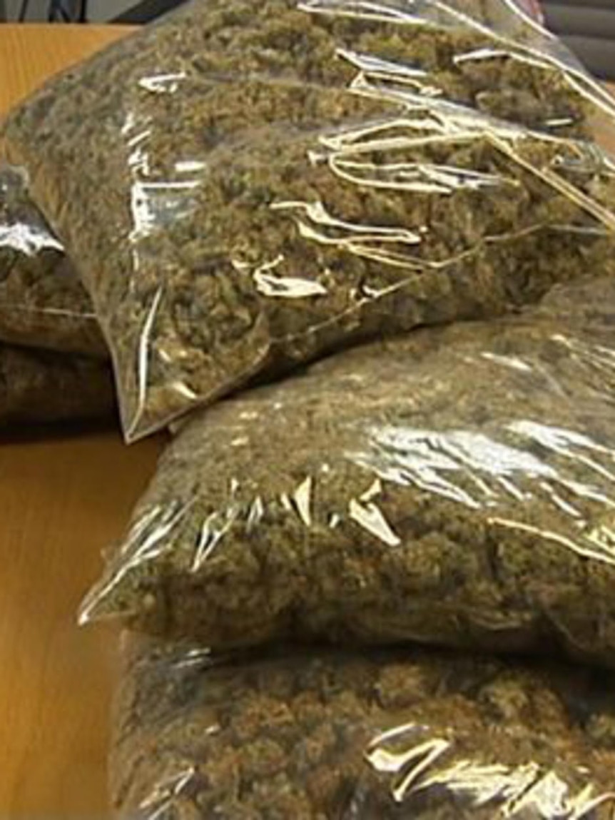 Police believe cannabis seized from the Stockton home weighs more than 80 kilograms.
