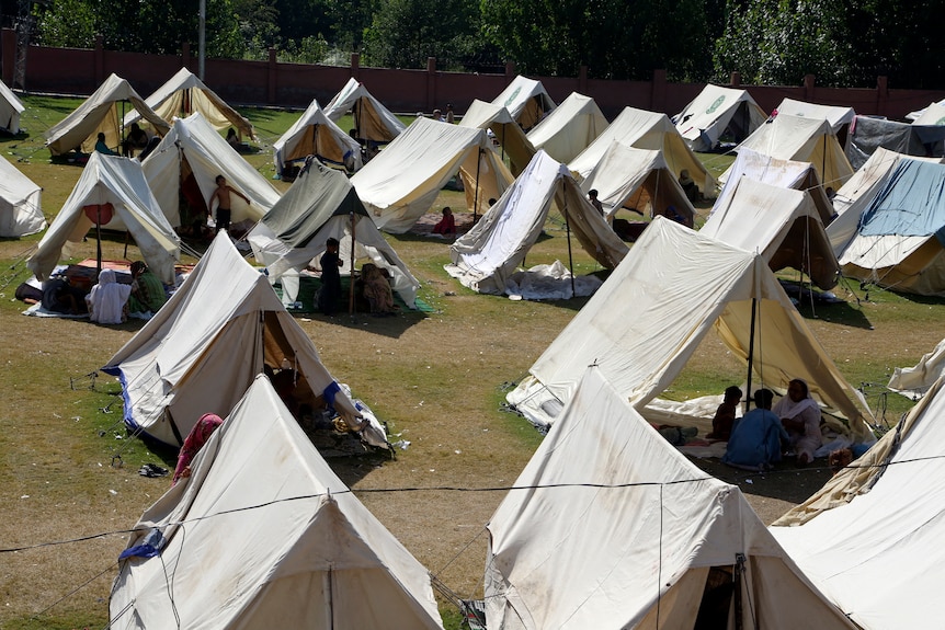 A tent camp covers a field