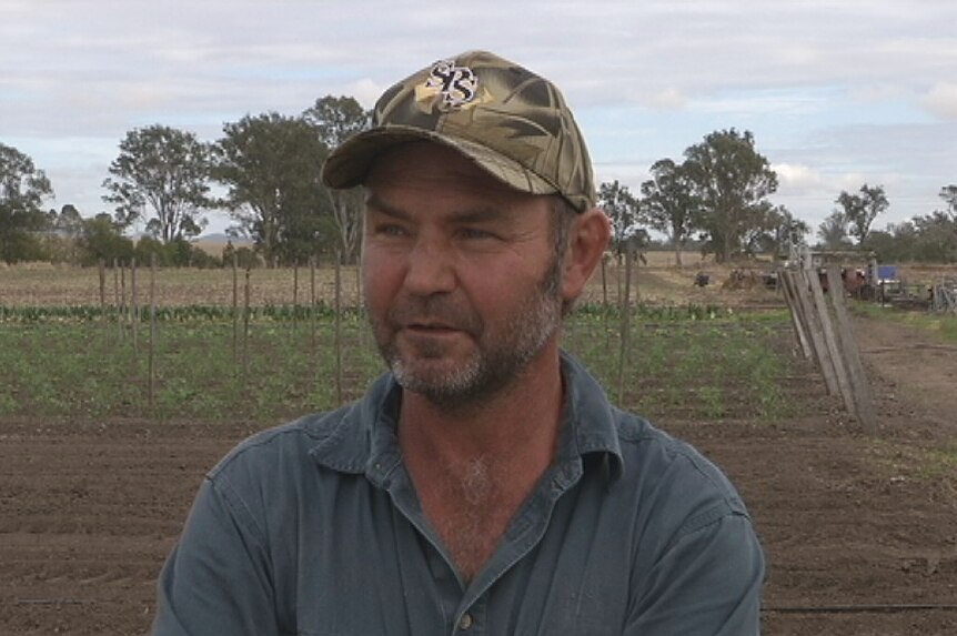 Peak Crossing grower Wayne Allum says he ended up selling 200 boxes of tomatoes at a loss.