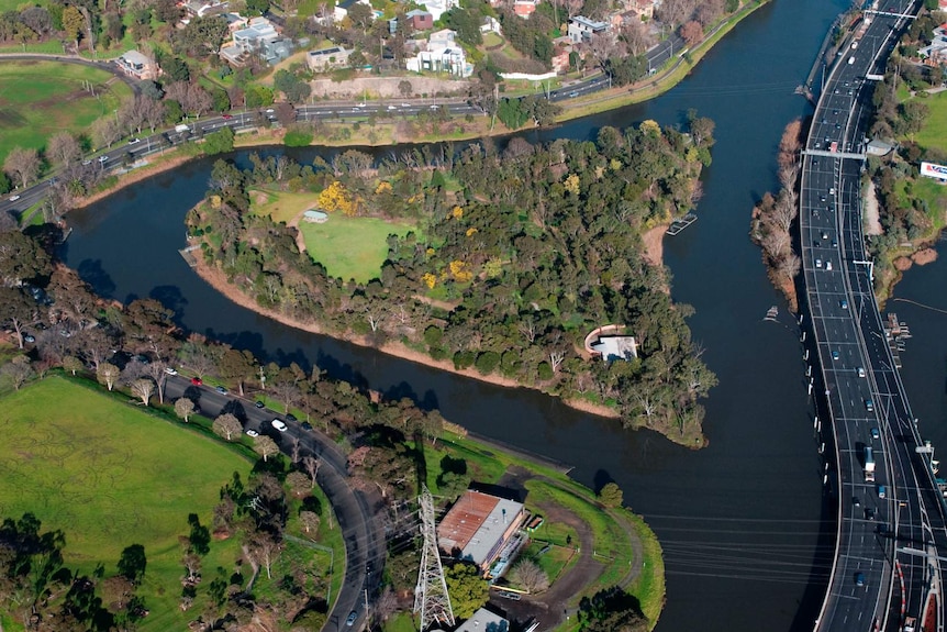 Aerial view of a small, bushy island in a large river by a dual-carriage freeway, surrounded by buildings and powerlines.