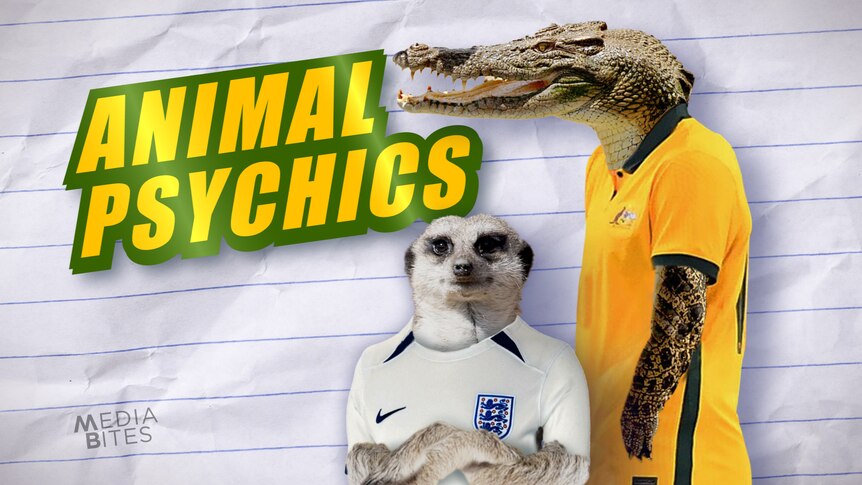 Animal Psychics 