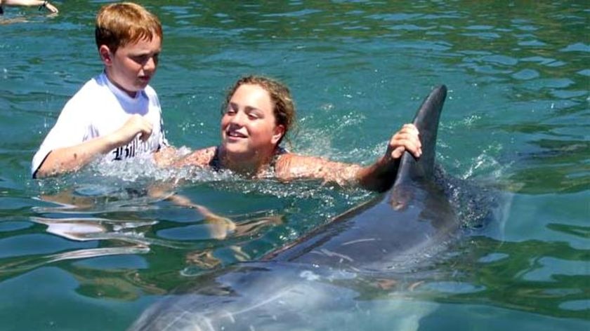 Two children hold onto the fin of Moko the dolphin at Mahia, on the east coast of the North Island.