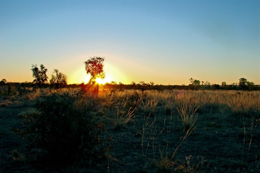 The sun sets over the testing area at Kidman Springs research station.