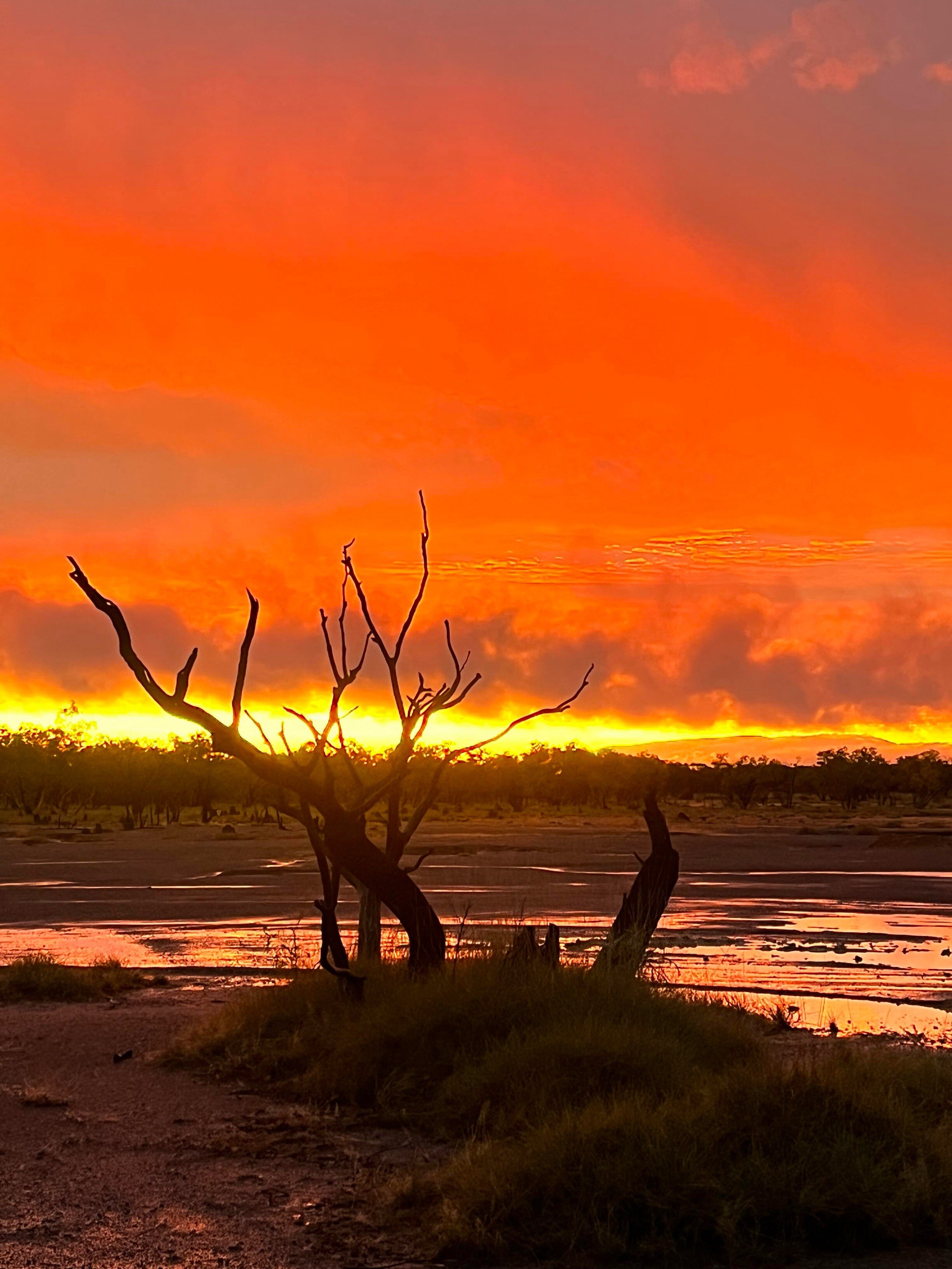 A sunset on a blackened and scorched earth