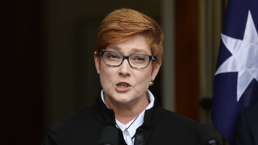 Payne talking in front of an Australian flag and an otherwise dark plain background.