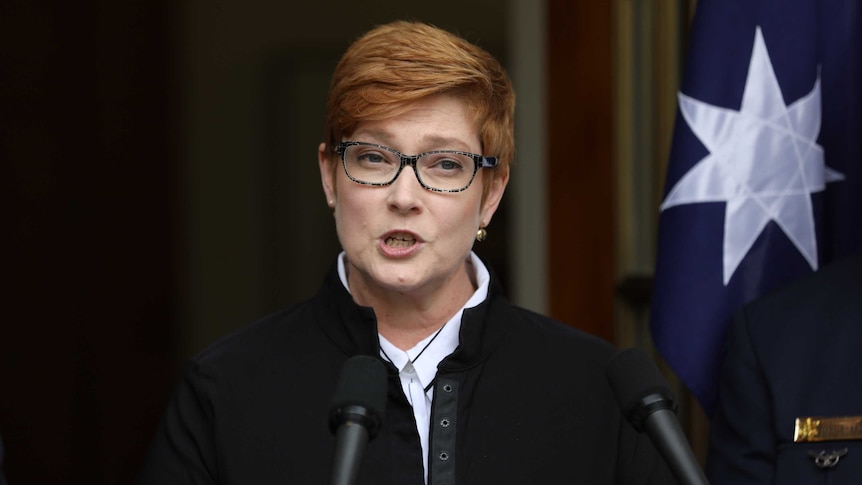 Payne talking in front of an Australian flag and an otherwise dark plain background.