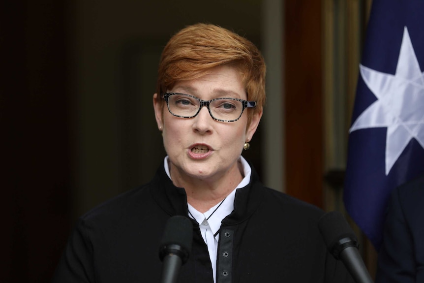 Payne parle devant un drapeau australien et un arrière-plan uni par ailleurs sombre.