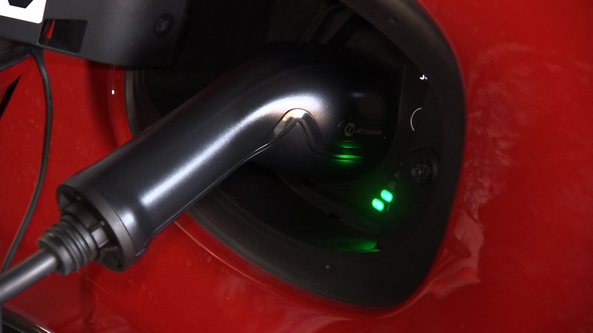 All Consuming | Kate Reid - ABC News