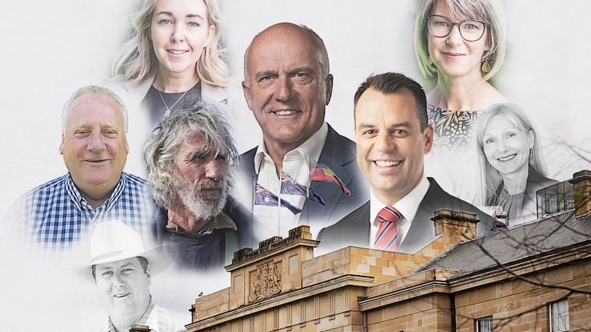 Tasmanian political candidates and Parliament House graphic.