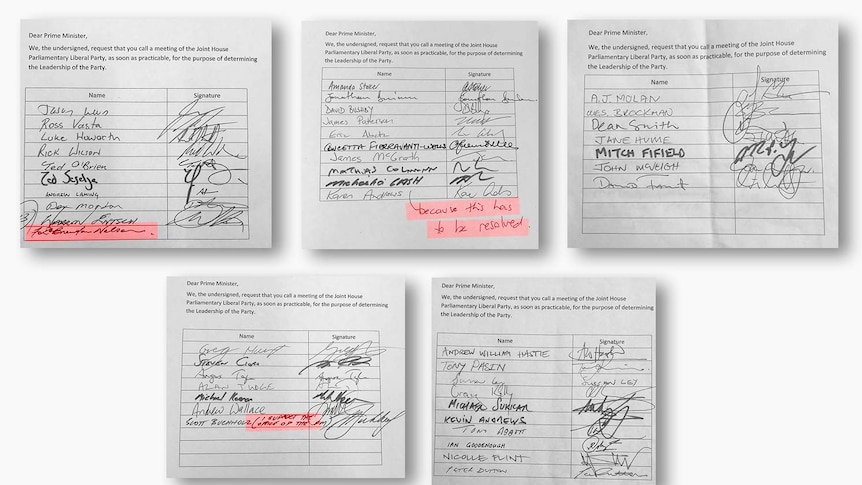 Signatures of MPs calling for a change in Liberal leader