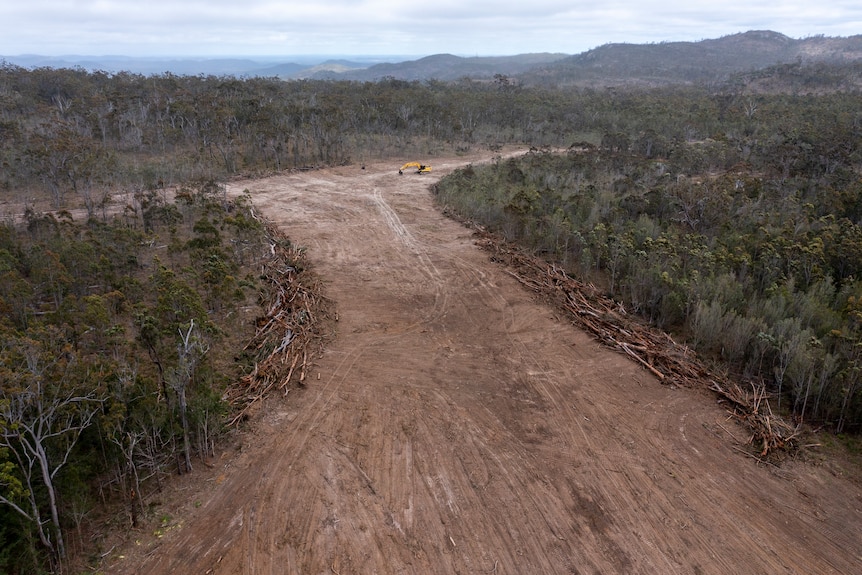 A clearing in the forest.