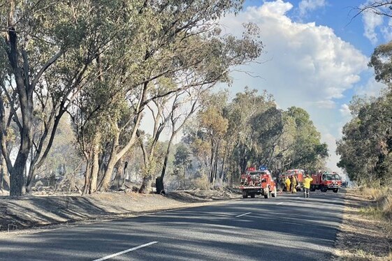 Burnt bush with fire trucks in the background