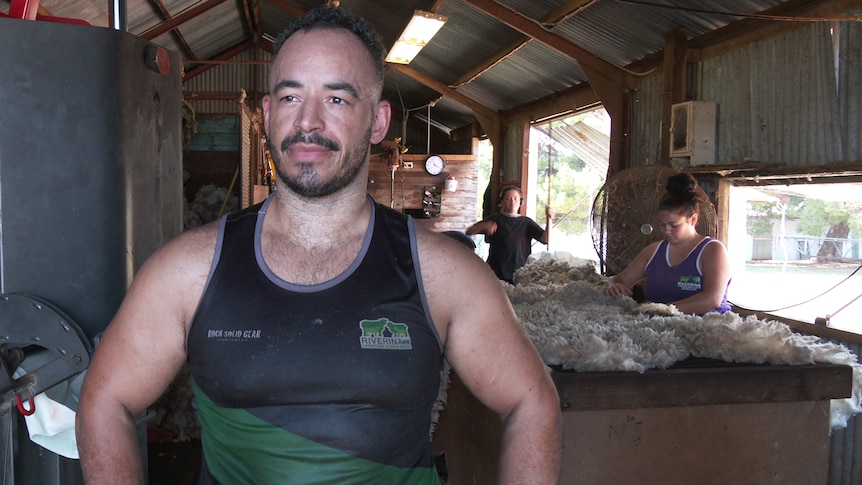 A man standing in a shearing shed. 