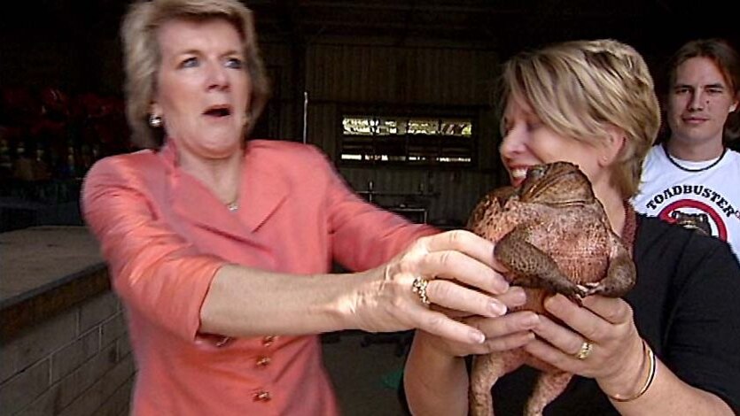 Deputy Opposition Leader Julie Bishop gets a little too close to a giant cane toad