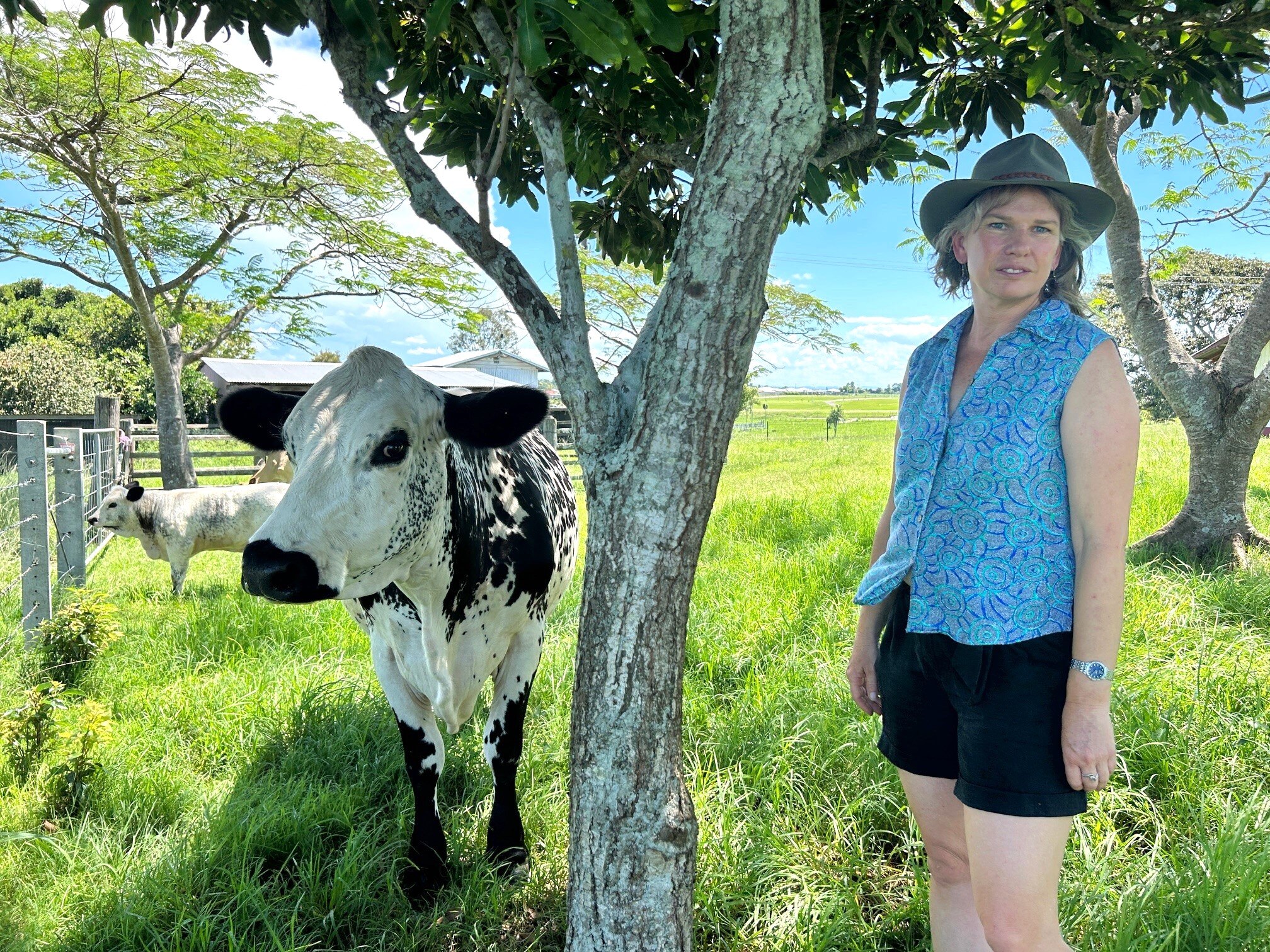 woman standing next to black and white cow
