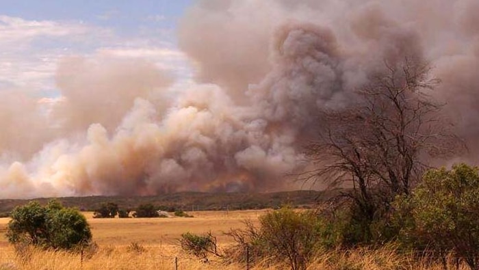 Dongara bushfire