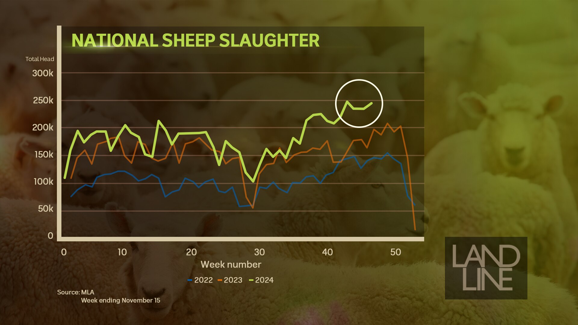 Graph of national sheep slaughter