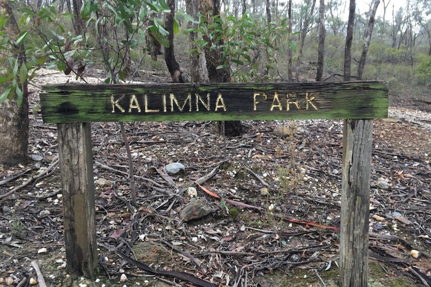 An old wooden sign with Kalimna Park written on it in the bush