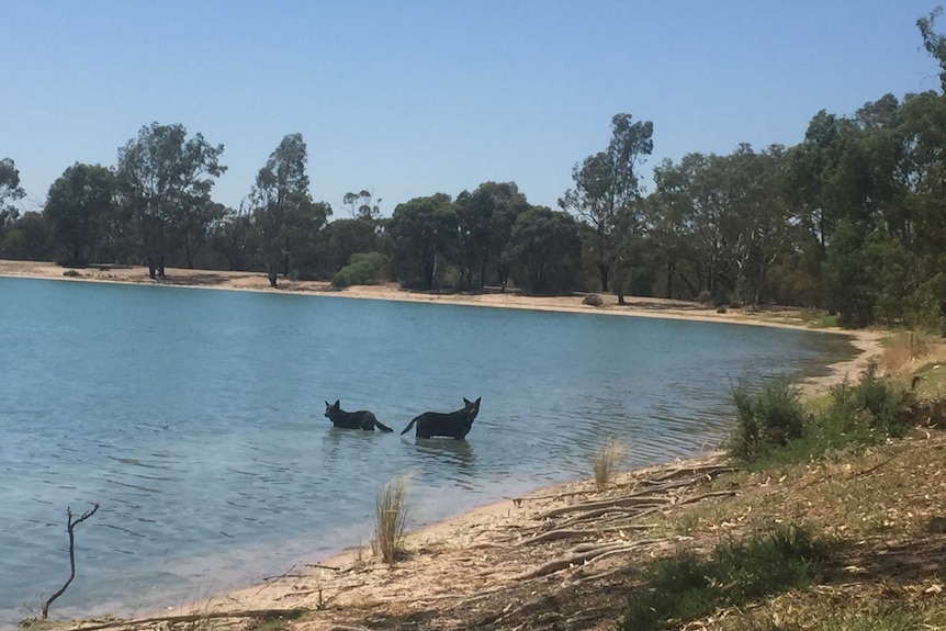 Lake Lescelles, Hopetoun, Victoria