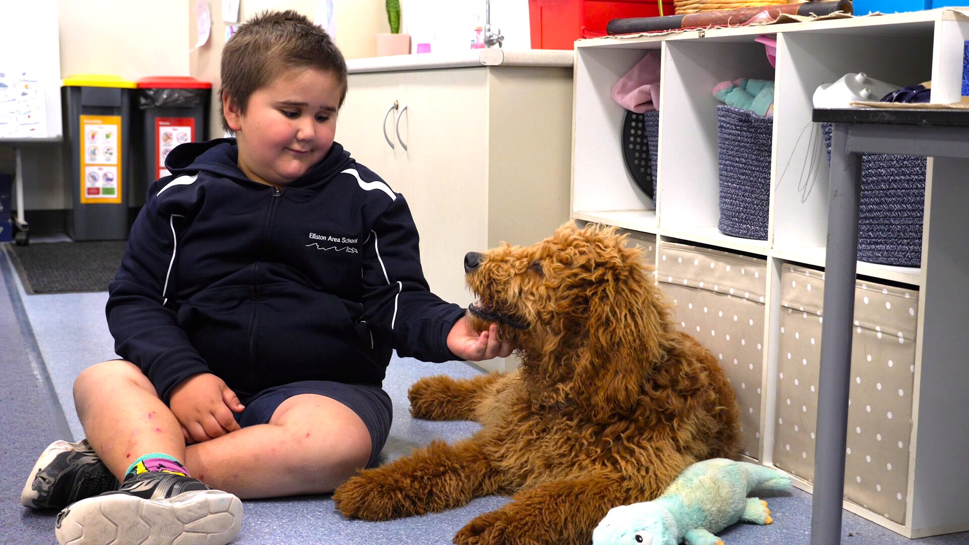 Young boy in dark blue school jumper sitting on floor scratching caramel groodle dog under the chin, looking at each other