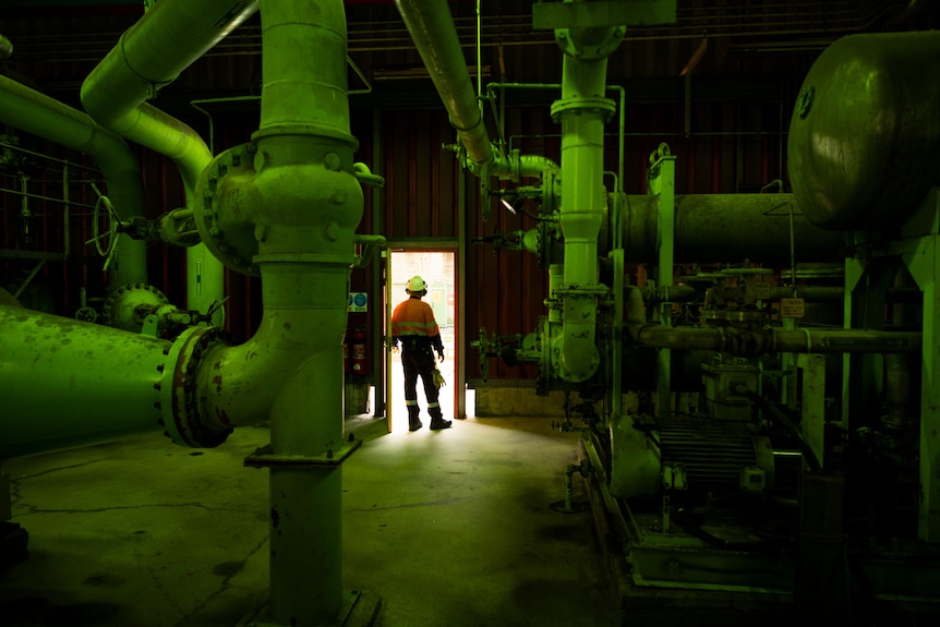 A man opens a door in the power station, showing a bright light that makes the rest of the room look green