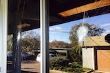 Smashed windows at the ACT Parks and Conservation depot on Athllon Drive in Canberra's south.