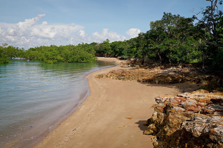 Picture of the beach, ocean and mangroves on the left side, rocks and more trees on the right.