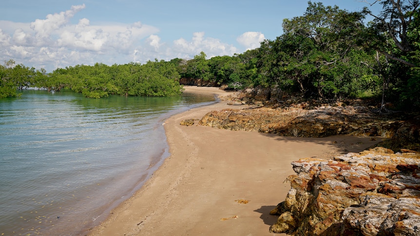 Picture of the beach, ocean and mangroves on the left side, rocks and more trees on the right.