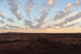The skies over the dry plains in the Gascoyne have not opened for years